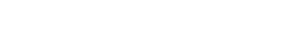 Pareto