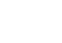 Pioneer Fund
