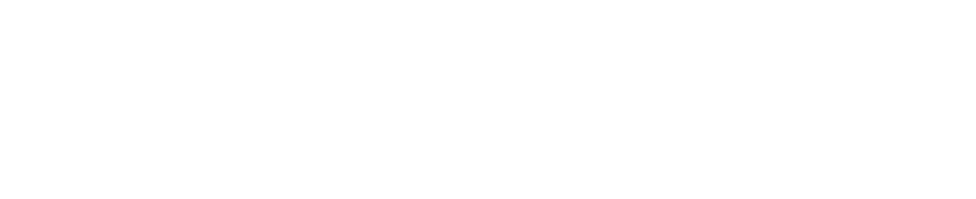 VinFast