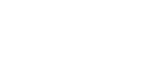 Bally Bet