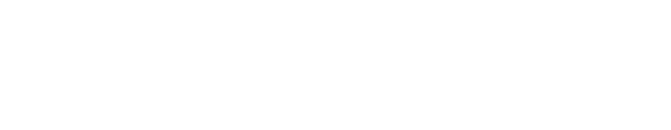 Blue Cross Blue Shield