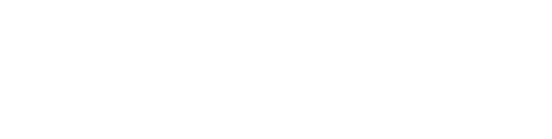 Liberty Mutual